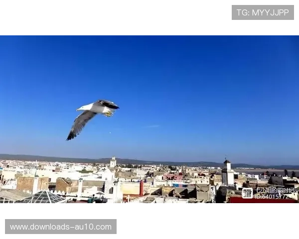 世界帆船锦标赛摩洛哥场地勘察,强风考验成变数 世界帆船锦标赛摩洛哥场地勘察,强风考验成变数